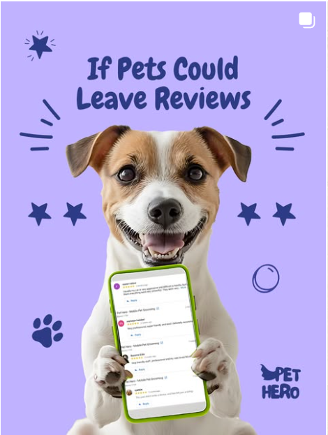 If pets could leave reviews — happy dog holding a phone with PetHero reviews