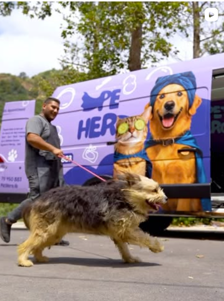 PetHero groomer walking a dog next to the mobile grooming van